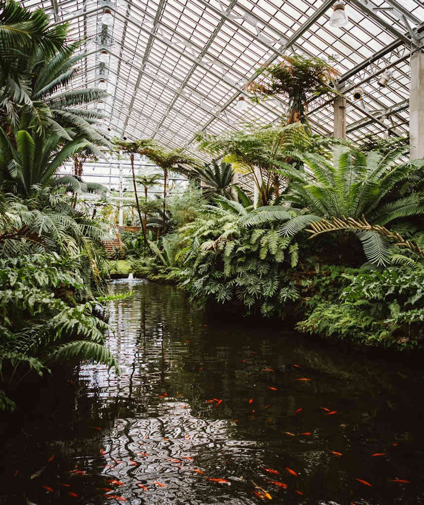 10 ways to reduce climate change for 2025